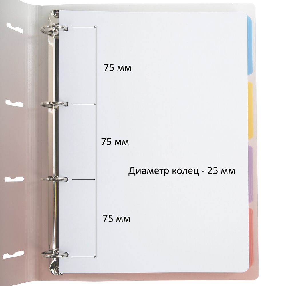 Тетрадь на кольцах БОЛЬШАЯ 305х235 мм А4, 120 л., пластик, с разделителями, BRAUBERG, Красный