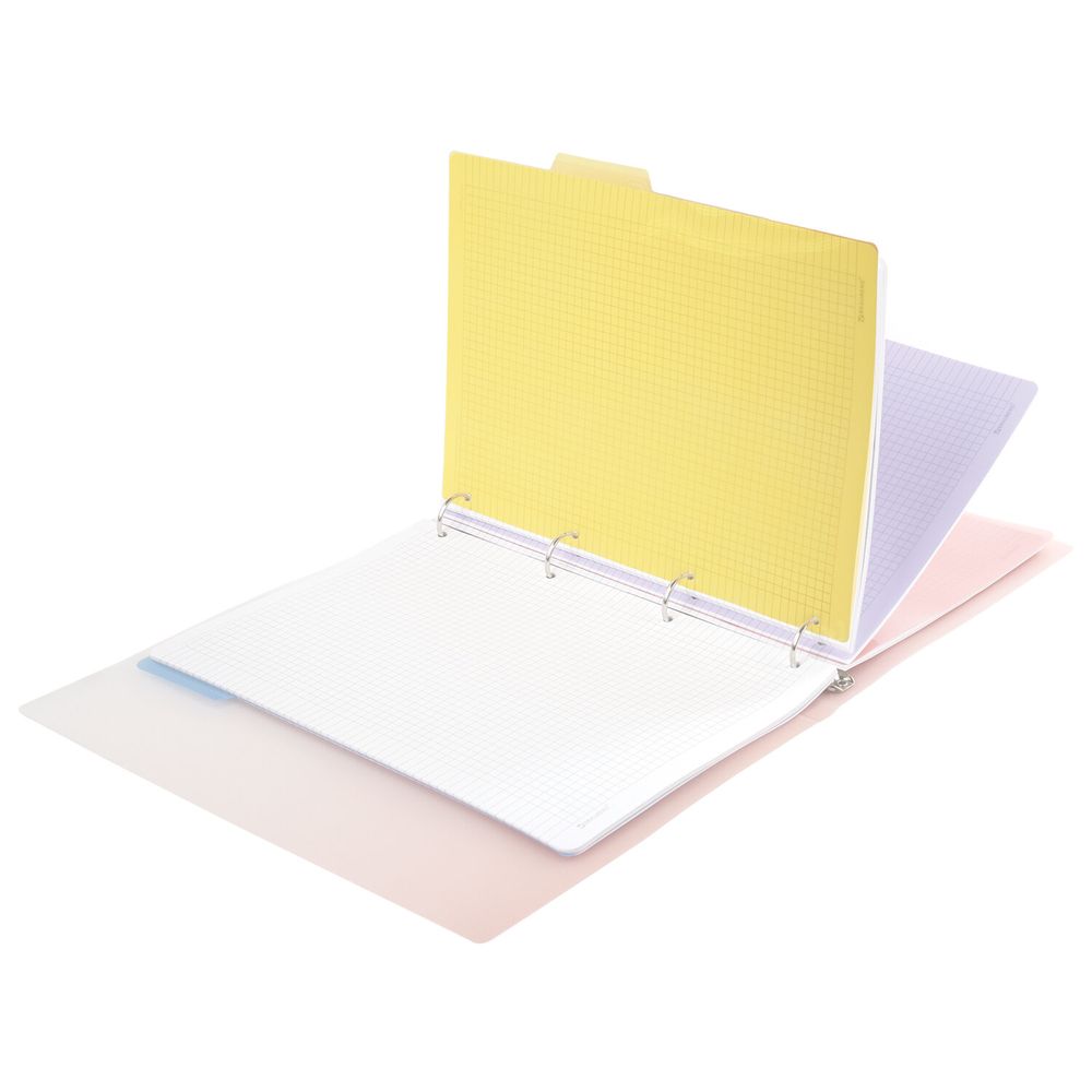 Тетрадь на кольцах БОЛЬШАЯ 305х235 мм А4, 120 л., пластик, с разделителями, BRAUBERG, Красный