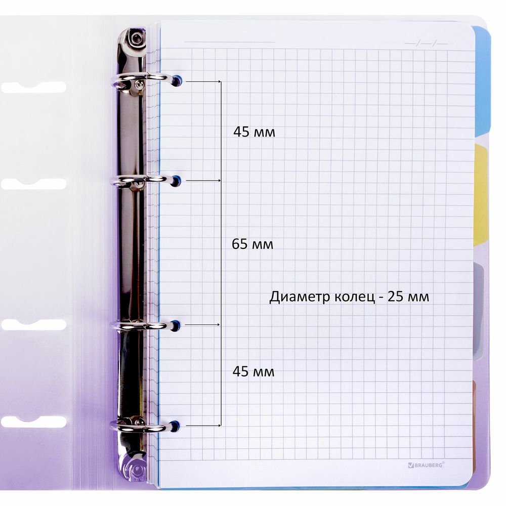 Тетрадь на кольцах А5 175х220 мм, 120 л., пластик, с разделителями, BRAUBERG, Фиолетовый