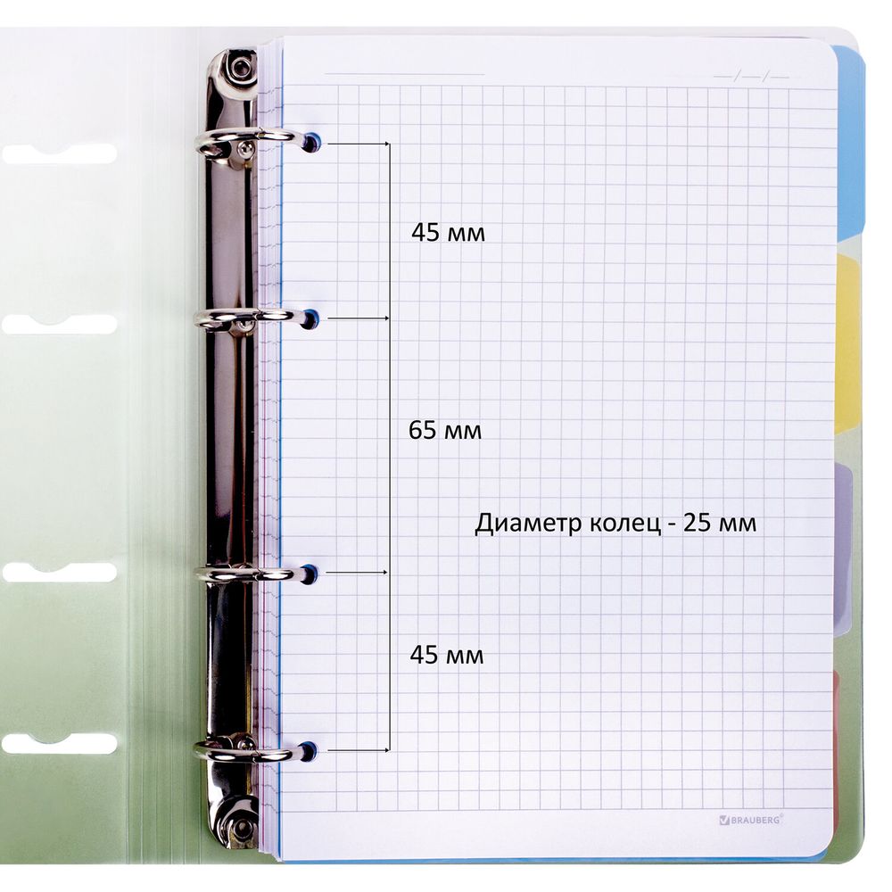 Тетрадь на кольцах А5 175х220 мм, 120 л., пластик, с разделителями, BRAUBERG, Зеленый