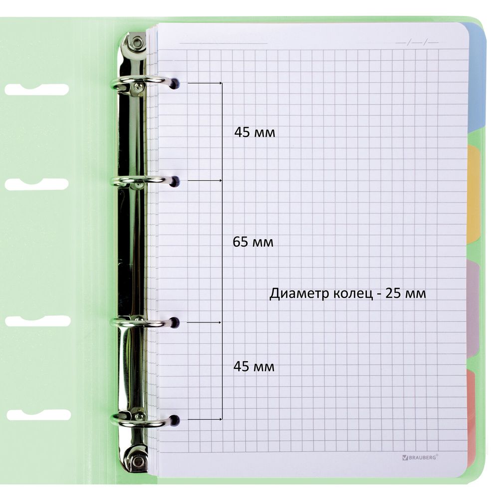 Тетрадь на кольцах А5 175х220 мм, 120 л., пластик, с резинкой и разделителями, BRAUBERG, Зеленый