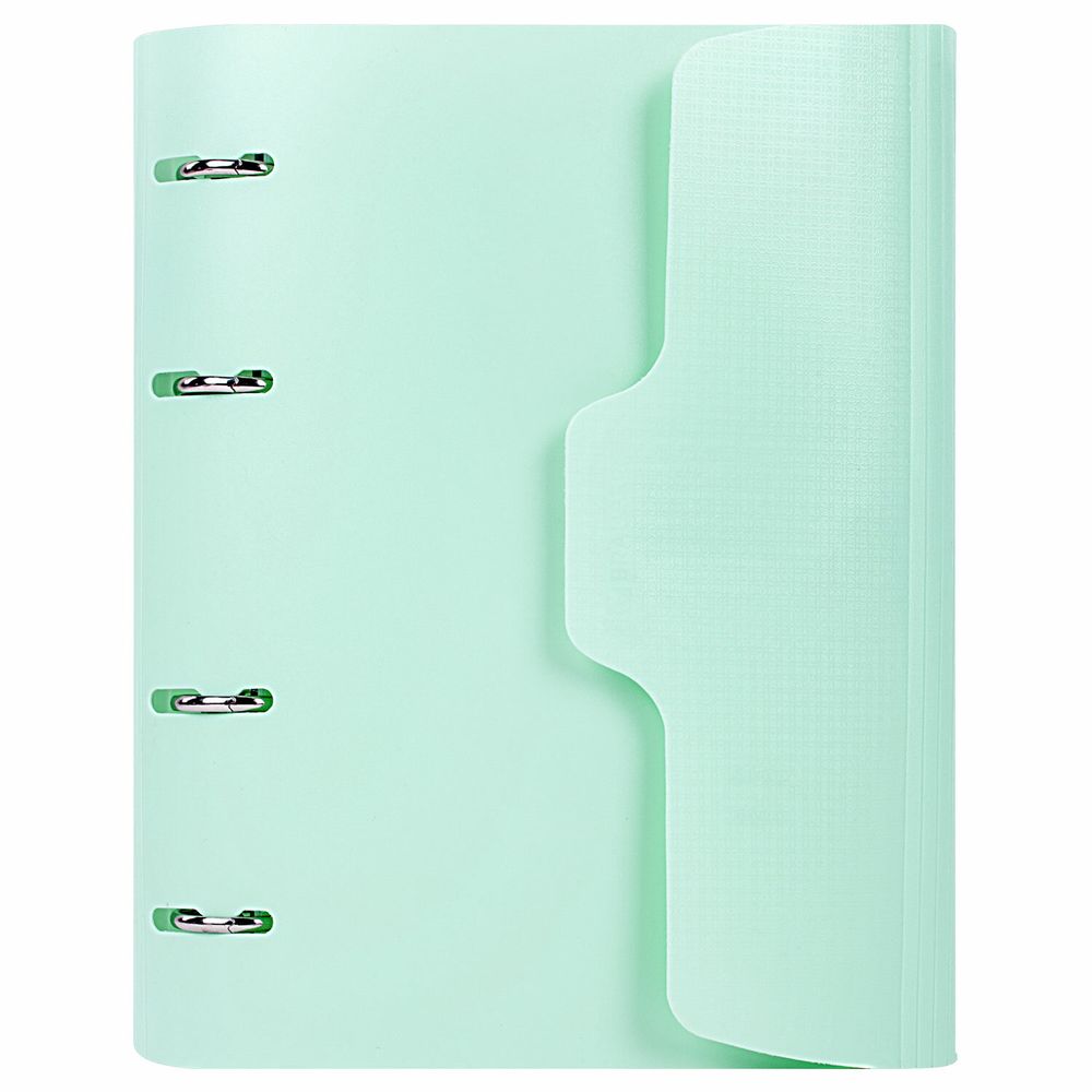 Тетрадь на кольцах А5 175х220 мм, 120 л., пластик, на липучке, с разделителями, BRAUBERG, Мятный