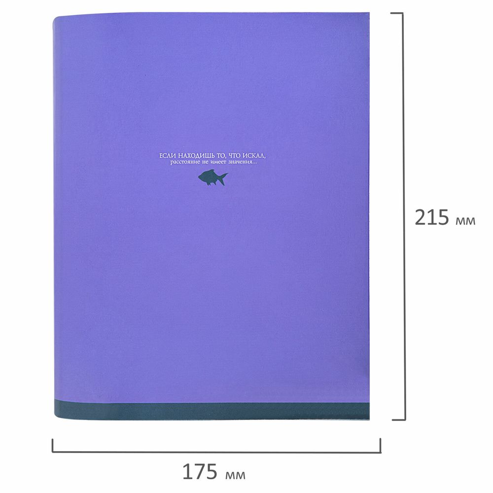 Тетрадь на кольцах А5 175х215 мм, 120 листов, твердый картон, клетка, BRAUBERG, "Monocolor"