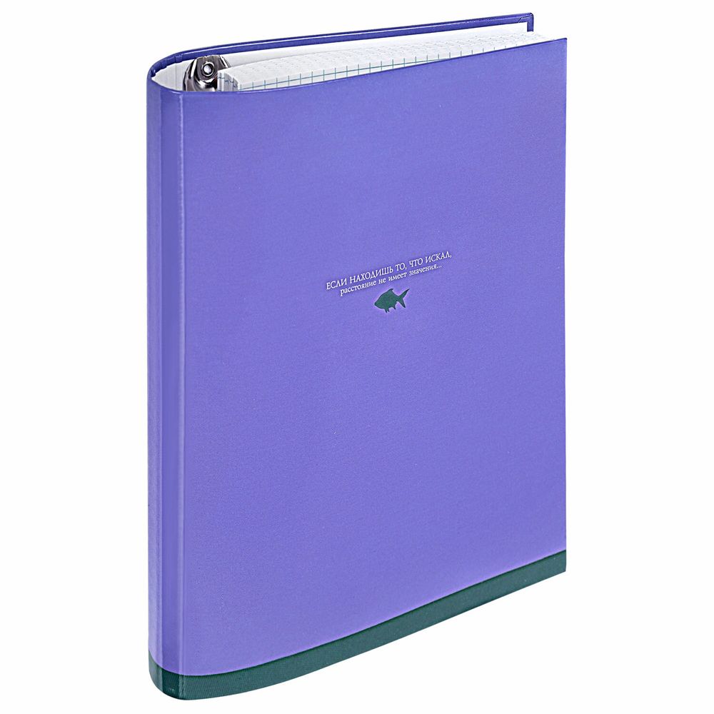 Тетрадь на кольцах А5 175х215 мм, 120 листов, твердый картон, клетка, BRAUBERG, "Monocolor"