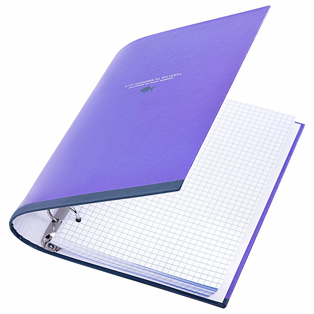 Тетрадь на кольцах А5 175х215 мм, 120 листов, твердый картон, клетка, BRAUBERG, "Monocolor"