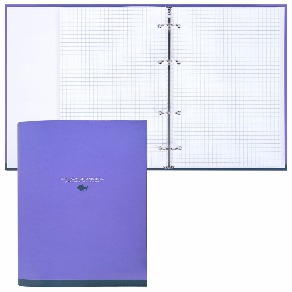 Тетрадь на кольцах А5 175х215 мм, 120 листов, твердый картон, клетка, BRAUBERG, "Monocolor"