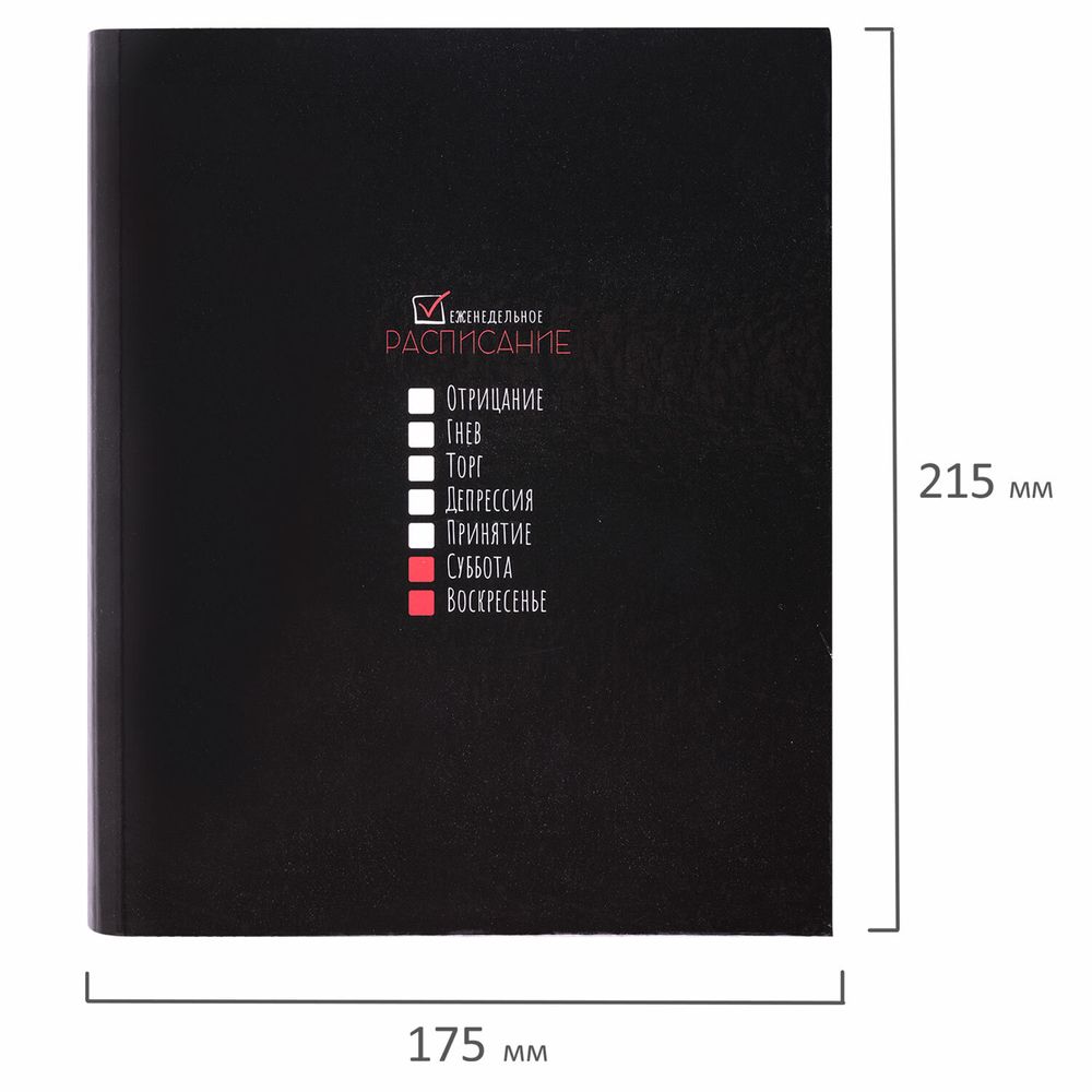 Тетрадь на кольцах А5 175х215 мм, 120 листов, твердый картон, клетка, BRAUBERG, "Стадии недели"
