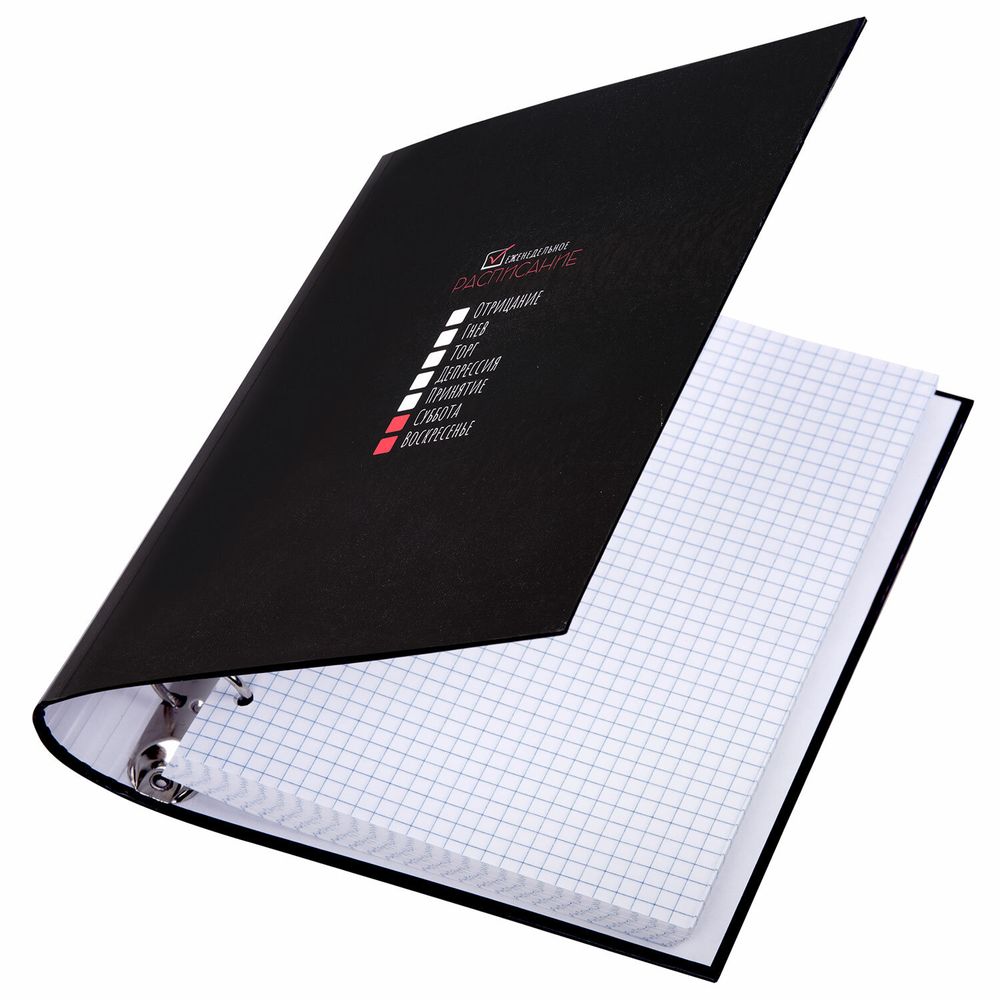 Тетрадь на кольцах А5 175х215 мм, 120 листов, твердый картон, клетка, BRAUBERG, "Стадии недели"