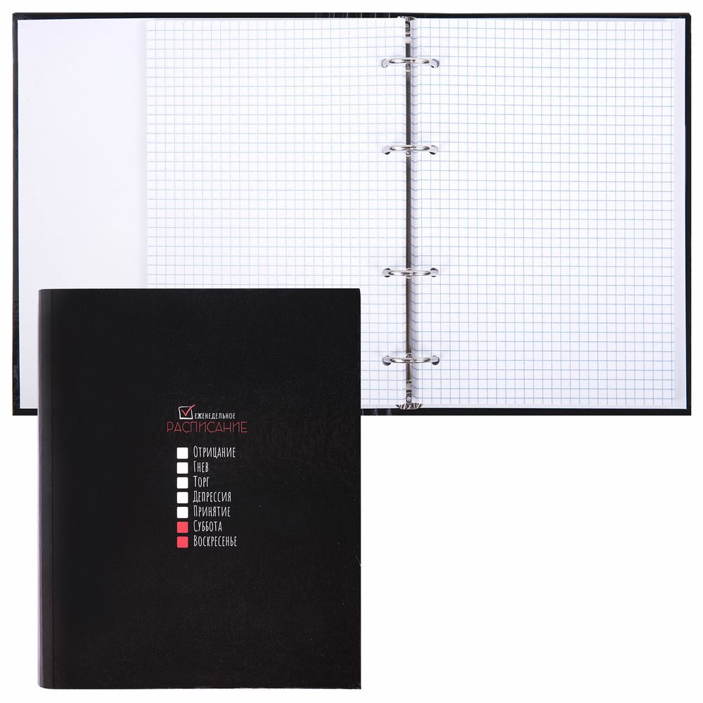 Тетрадь на кольцах А5 175х215 мм, 120 листов, твердый картон, клетка, BRAUBERG, "Стадии недели"