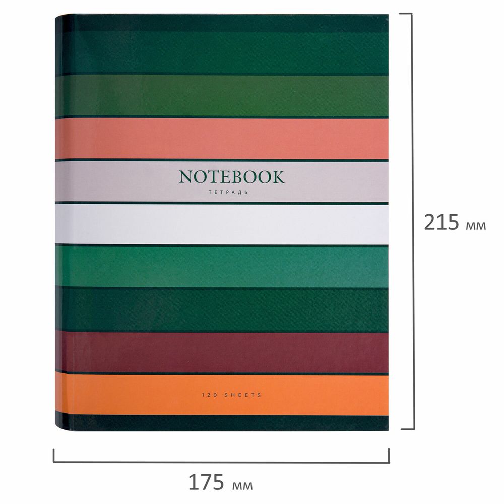 Тетрадь на кольцах А5 175х215 мм, 120 листов, твердый картон, клетка, BRAUBERG, "Classic"