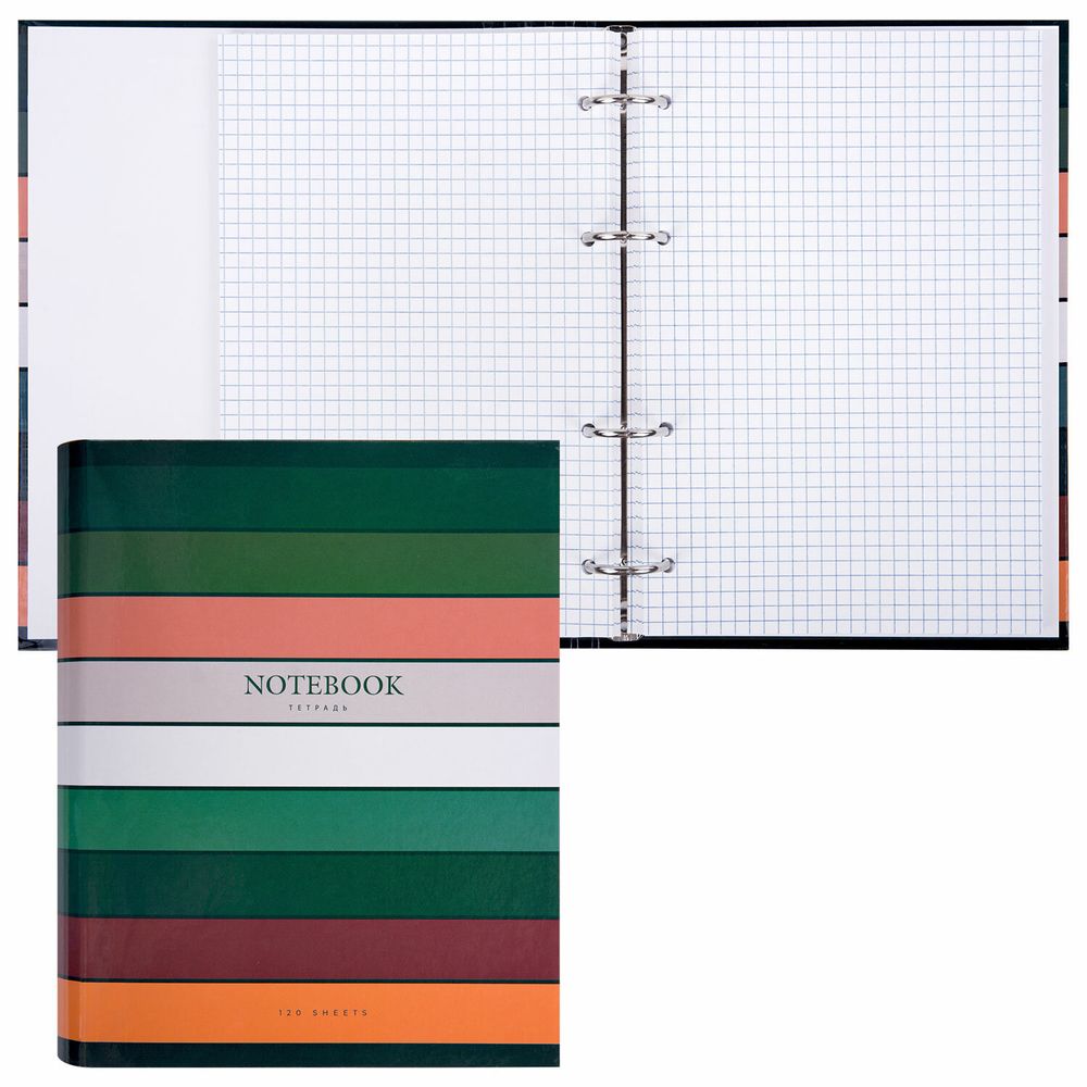 Тетрадь на кольцах А5 175х215 мм, 120 листов, твердый картон, клетка, BRAUBERG, "Classic"