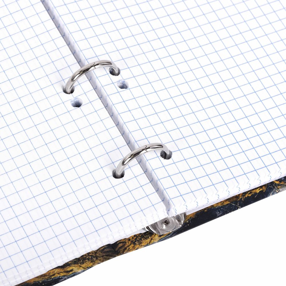 Тетрадь на кольцах А5 175х215 мм, 120 листов, твердый картон, фольга, клетка, BRAUBERG, "Marble"