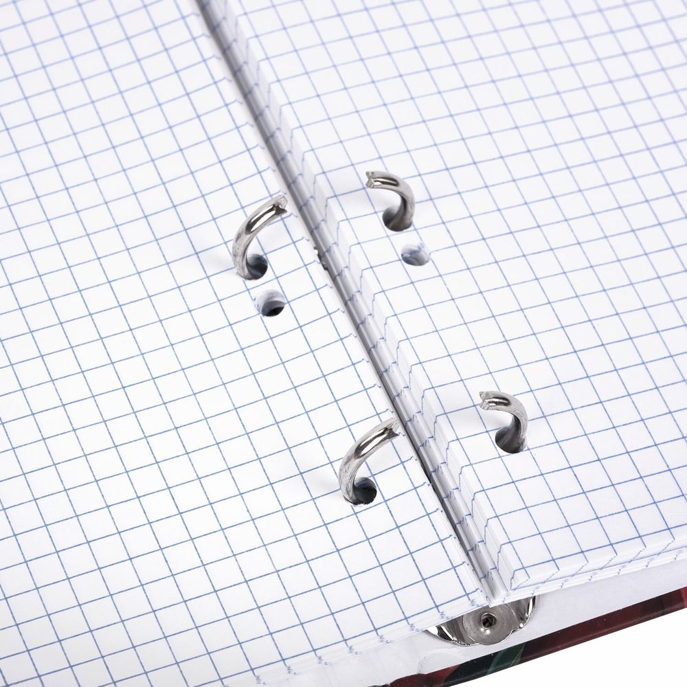 Тетрадь на кольцах А5 175х215 мм, 120 листов, твердый картон, фольга, клетка, BRAUBERG, "Pomegranate"