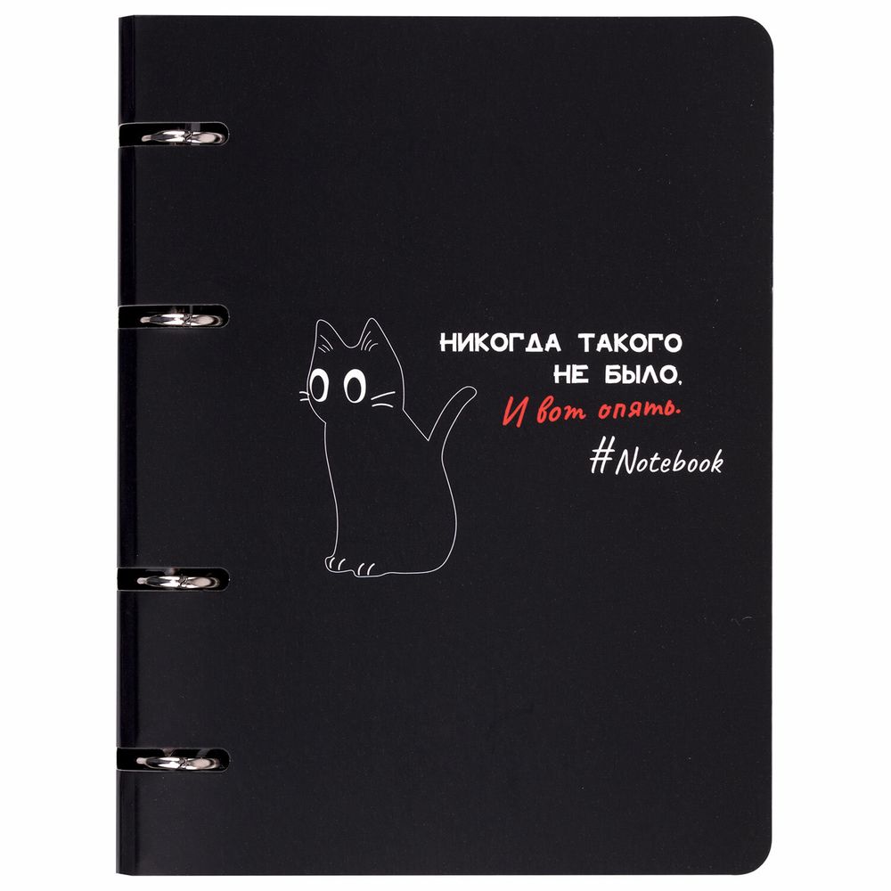 Тетрадь на кольцах А5 160х212 мм, 120 листов, картон, матовая ламинация, клетка, BRAUBERG, "Просто Кот"