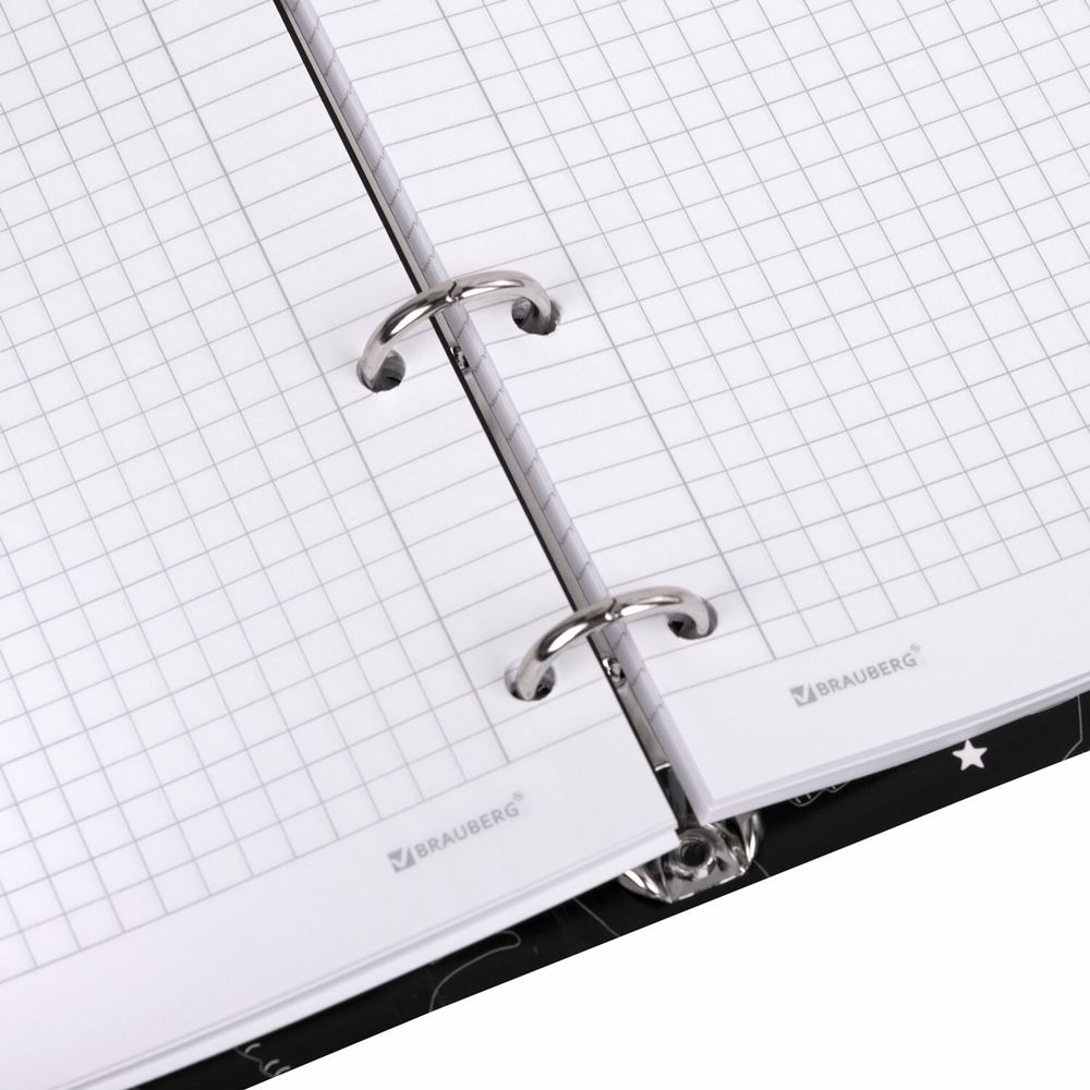 Тетрадь на кольцах А5 160х212 мм, 120 листов, картон, матовая ламинация, клетка, BRAUBERG, "Просто Кот"