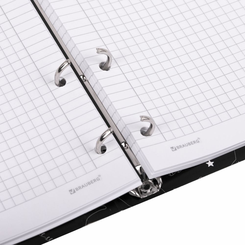 Тетрадь на кольцах А5 160х212 мм, 120 листов, картон, матовая ламинация, клетка, BRAUBERG, "Просто Кот"