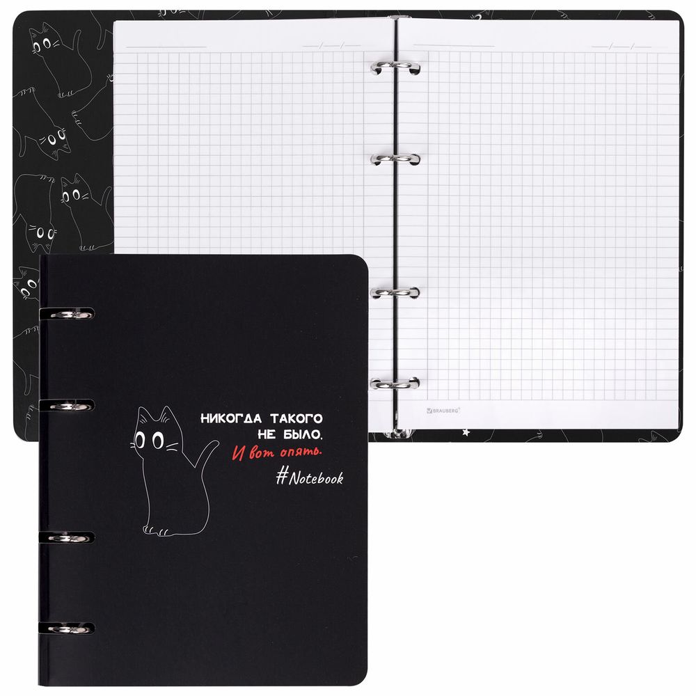 Тетрадь на кольцах А5 160х212 мм, 120 листов, картон, матовая ламинация, клетка, BRAUBERG, "Просто Кот"