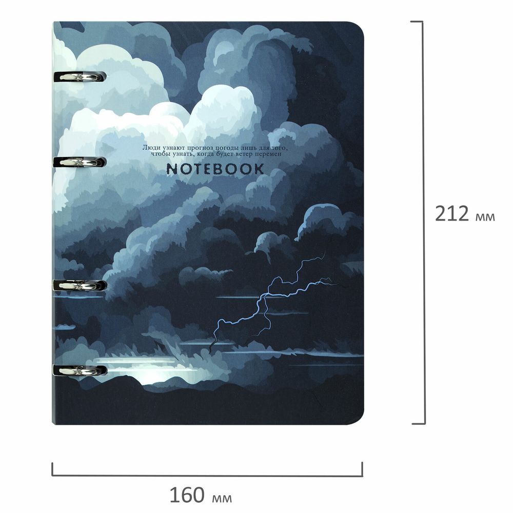 Тетрадь на кольцах А5 160х212 мм, 120 листов, картон, матовая ламинация, клетка, BRAUBERG, "Clouds"