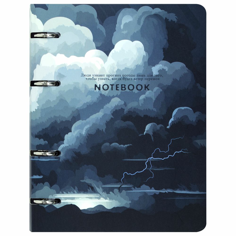 Тетрадь на кольцах А5 160х212 мм, 120 листов, картон, матовая ламинация, клетка, BRAUBERG, "Clouds"