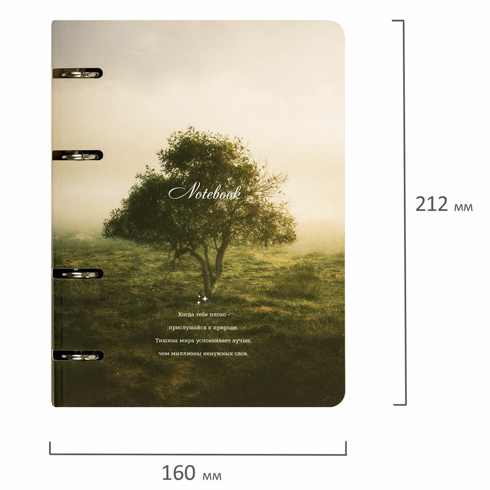 Тетрадь на кольцах А5 160х212 мм, 120 листов, картон, матовая ламинация, клетка, BRAUBERG, "Nature"