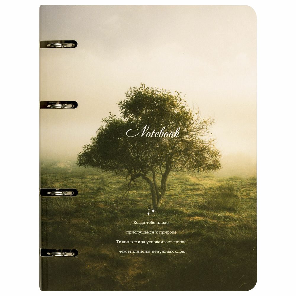 Тетрадь на кольцах А5 160х212 мм, 120 листов, картон, матовая ламинация, клетка, BRAUBERG, "Nature"
