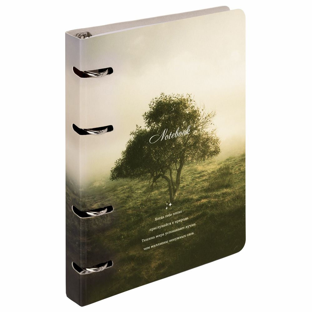 Тетрадь на кольцах А5 160х212 мм, 120 листов, картон, матовая ламинация, клетка, BRAUBERG, "Nature"