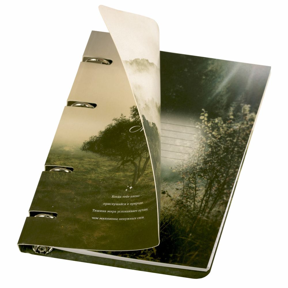 Тетрадь на кольцах А5 160х212 мм, 120 листов, картон, матовая ламинация, клетка, BRAUBERG, "Nature"