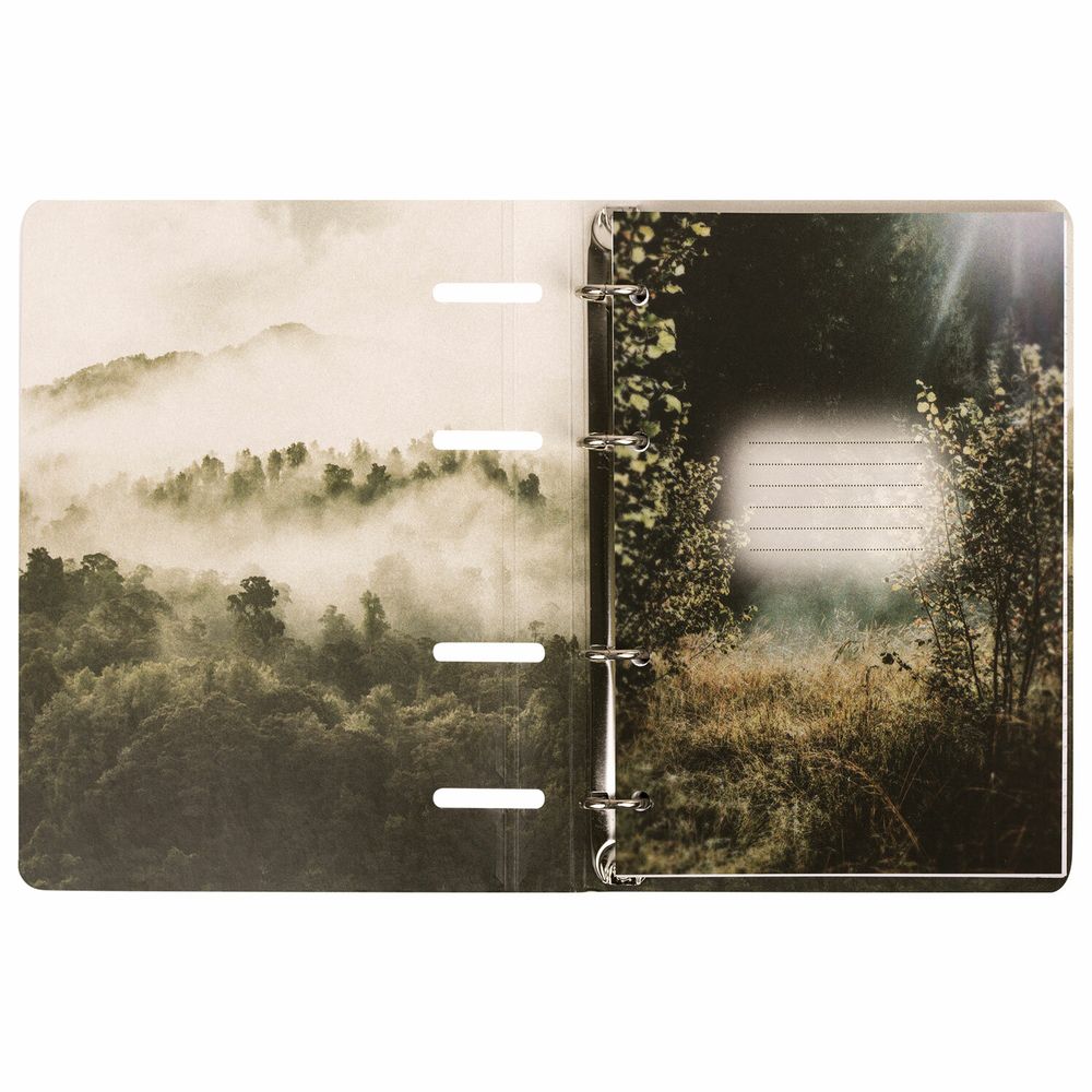 Тетрадь на кольцах А5 160х212 мм, 120 листов, картон, матовая ламинация, клетка, BRAUBERG, "Nature"