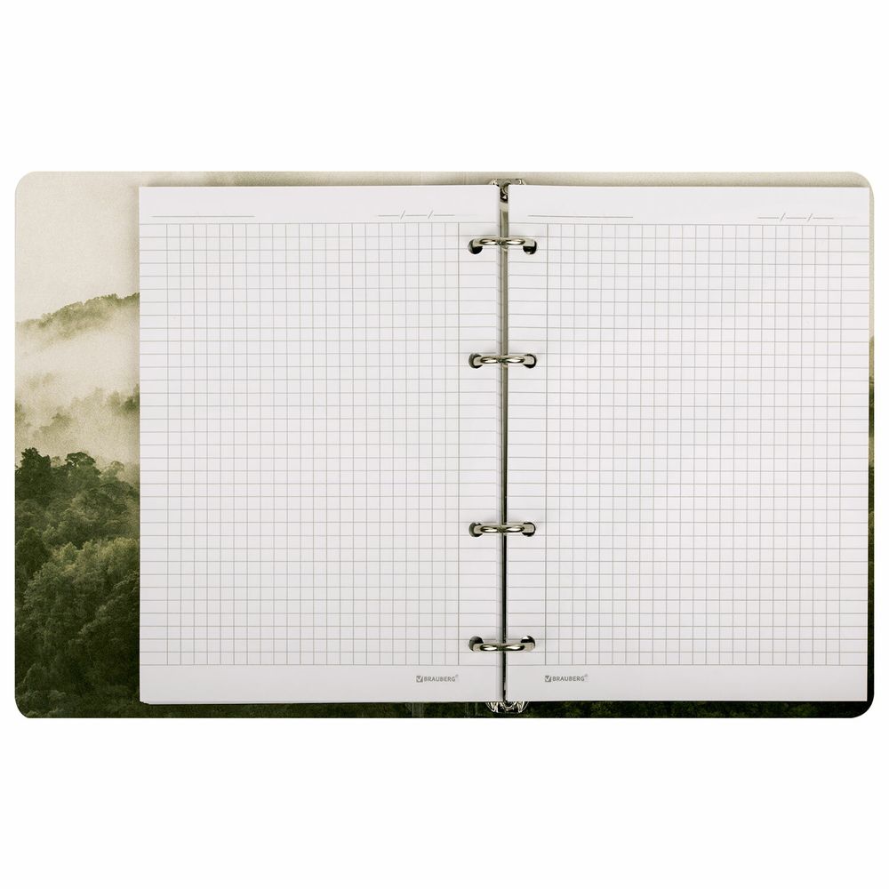Тетрадь на кольцах А5 160х212 мм, 120 листов, картон, матовая ламинация, клетка, BRAUBERG, "Nature"