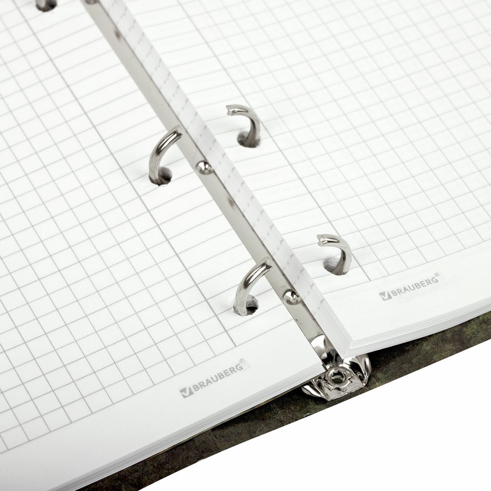 Тетрадь на кольцах А5 160х212 мм, 120 листов, картон, матовая ламинация, клетка, BRAUBERG, "Nature"