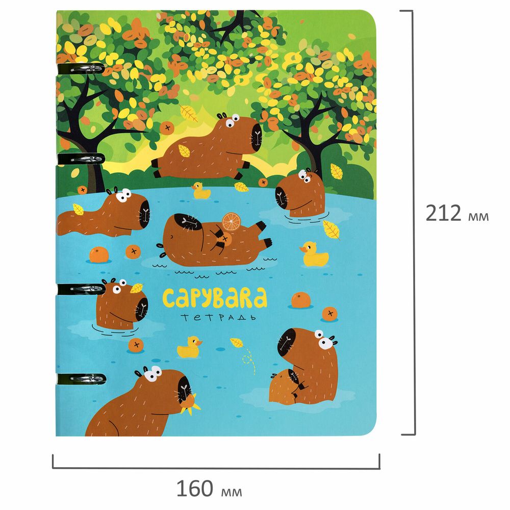 Тетрадь на кольцах А5 160х212 мм, 120 листов, картон, выборочный лак, клетка, BRAUBERG, "Капибары"