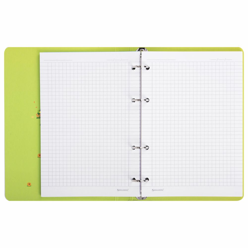 Тетрадь на кольцах А5 160х212 мм, 120 листов, картон, выборочный лак, клетка, BRAUBERG, "Капибары"