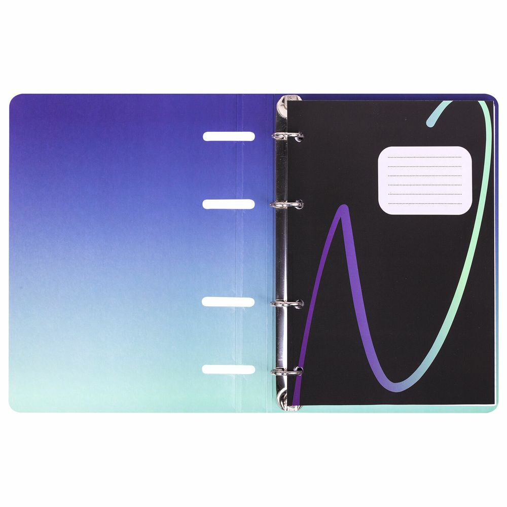 Тетрадь на кольцах А5 160х212 мм, 120 листов, картон, выборочный лак, клетка, BRAUBERG, "Notebook"