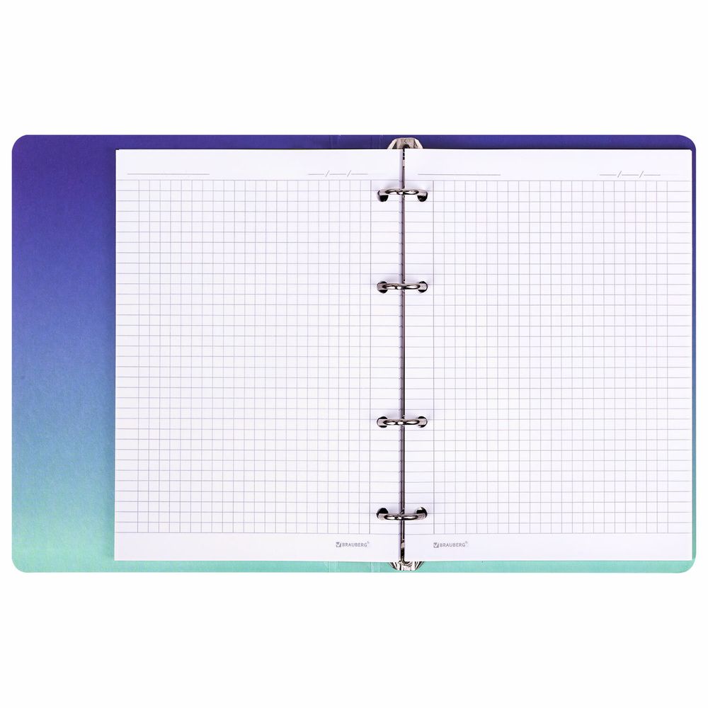 Тетрадь на кольцах А5 160х212 мм, 120 листов, картон, выборочный лак, клетка, BRAUBERG, "Notebook"