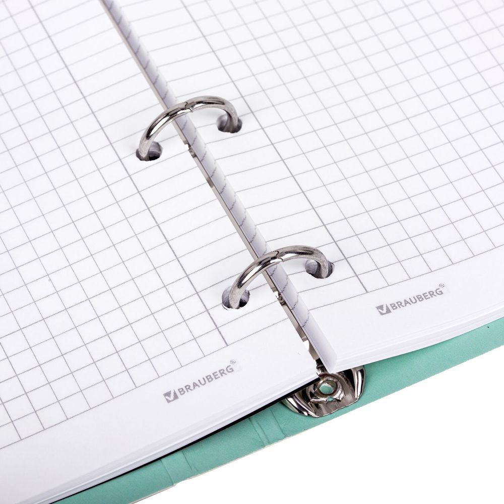 Тетрадь на кольцах А5 160х212 мм, 120 листов, картон, выборочный лак, клетка, BRAUBERG, "Notebook"