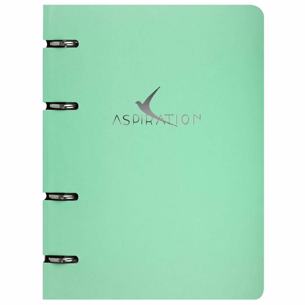 Тетрадь на кольцах А5 160х212 мм, 120 листов, картон, фольга, клетка, BRAUBERG, "Pastel"