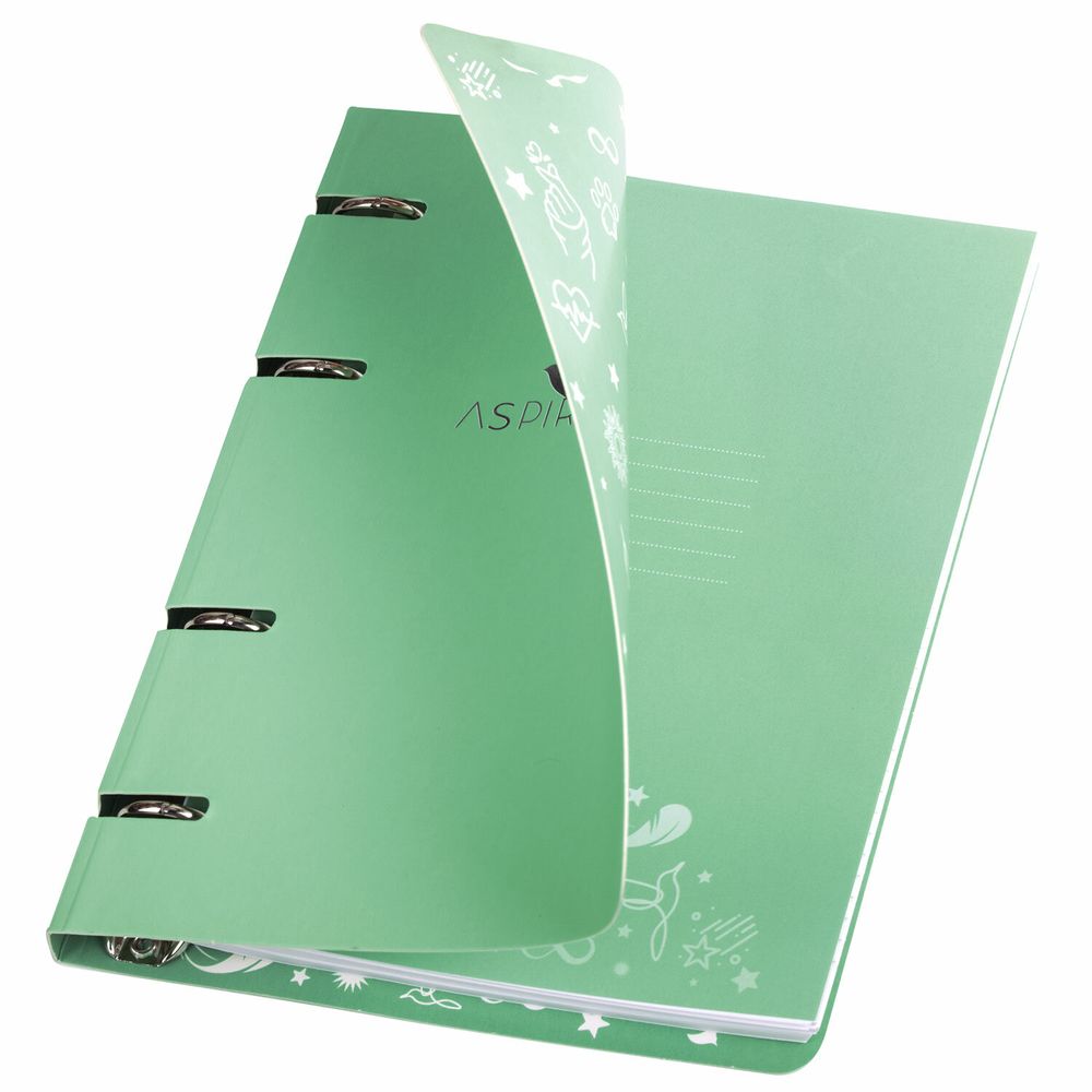 Тетрадь на кольцах А5 160х212 мм, 120 листов, картон, фольга, клетка, BRAUBERG, "Pastel"