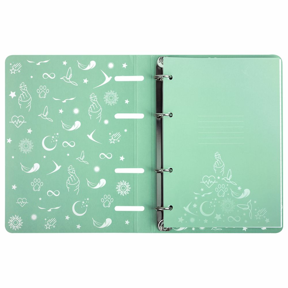 Тетрадь на кольцах А5 160х212 мм, 120 листов, картон, фольга, клетка, BRAUBERG, "Pastel"