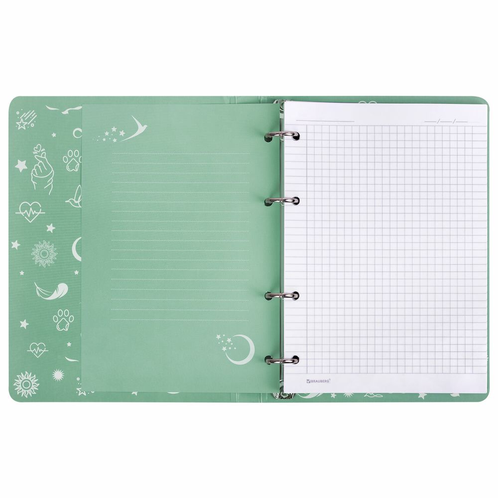 Тетрадь на кольцах А5 160х212 мм, 120 листов, картон, фольга, клетка, BRAUBERG, "Pastel"