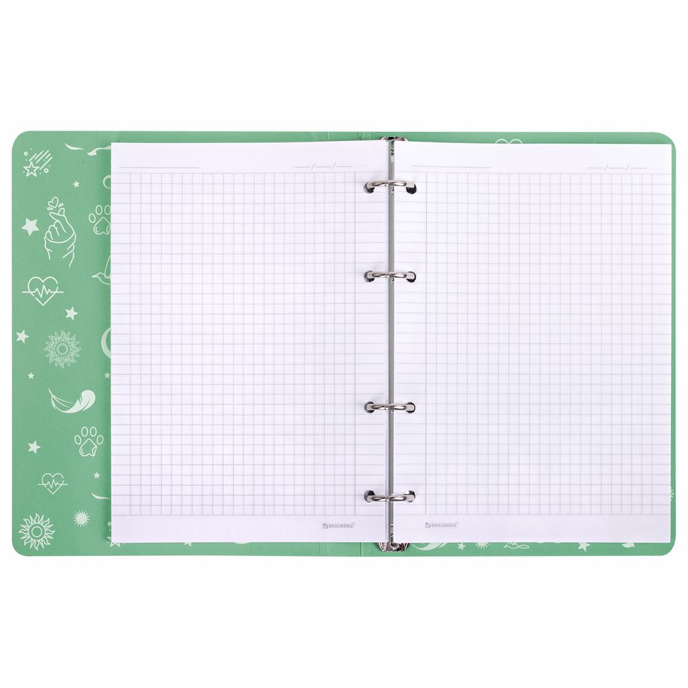 Тетрадь на кольцах А5 160х212 мм, 120 листов, картон, фольга, клетка, BRAUBERG, "Pastel"