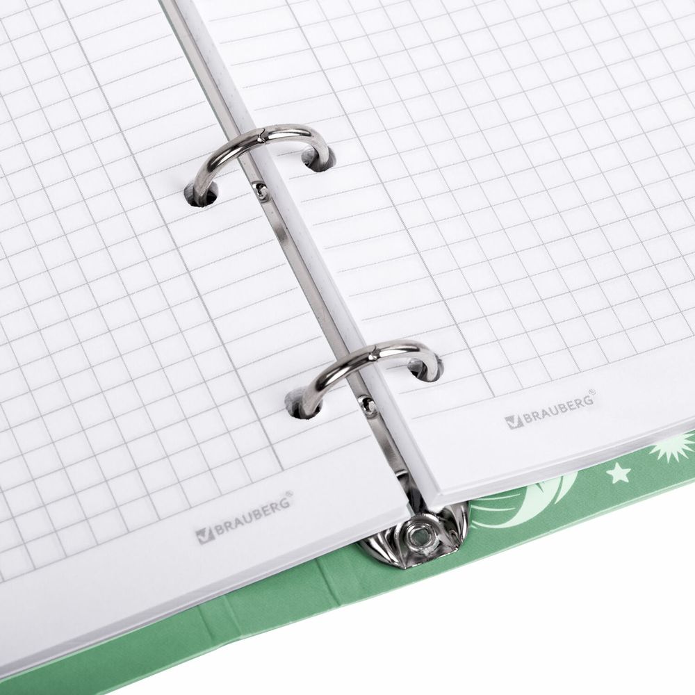 Тетрадь на кольцах А5 160х212 мм, 120 листов, картон, фольга, клетка, BRAUBERG, "Pastel"