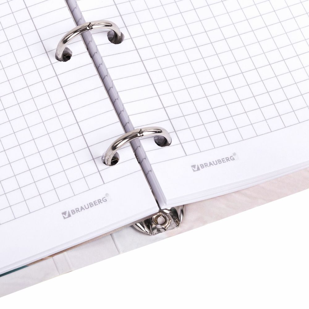 Тетрадь на кольцах А5 160х212 мм, 120 листов, картон, фольга, клетка, BRAUBERG, "Delicate flowers"