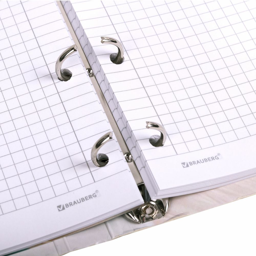 Тетрадь на кольцах А5 160х212 мм, 120 листов, картон, фольга, клетка, BRAUBERG, "Delicate flowers"