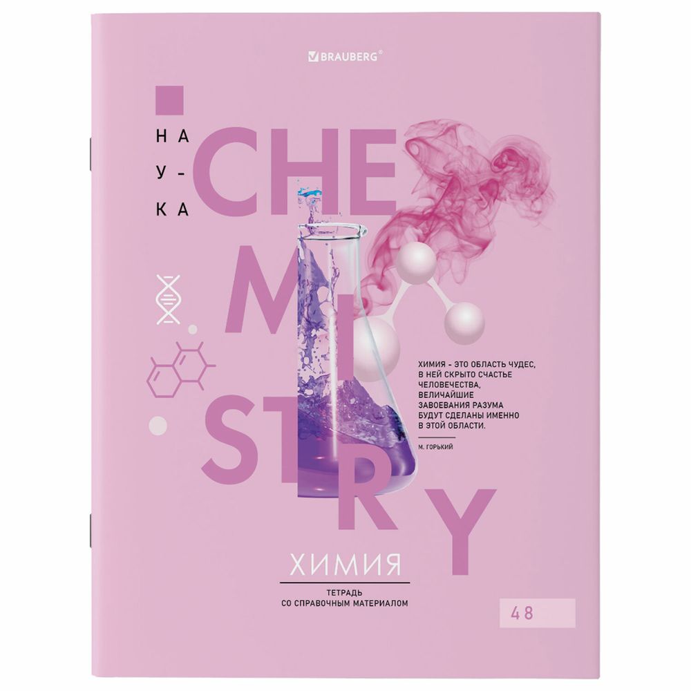 Тетради предметные со справочным материалом, КОМПЛЕКТ 12 ПРЕДМЕТОВ, 48 л., обложка картон, BRAUBERG, "VISION"