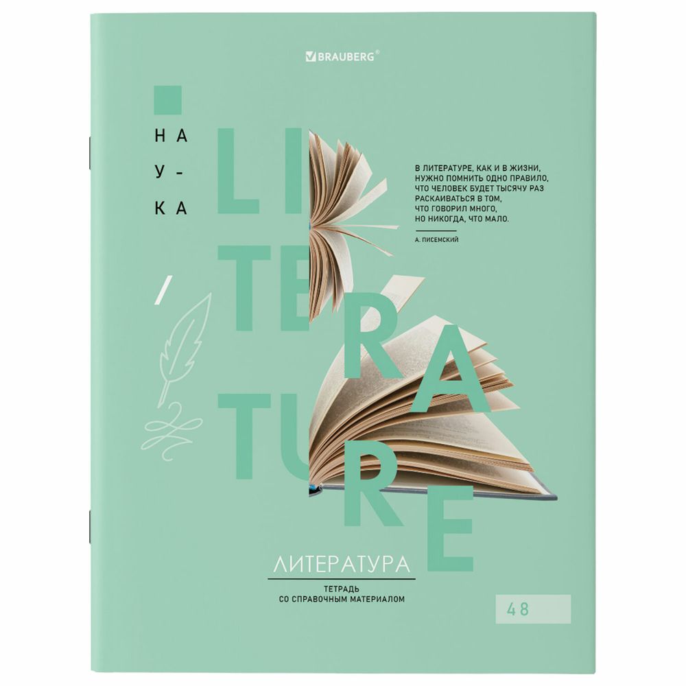 Тетради предметные со справочным материалом, КОМПЛЕКТ 12 ПРЕДМЕТОВ, 48 л., обложка картон, BRAUBERG, "VISION"