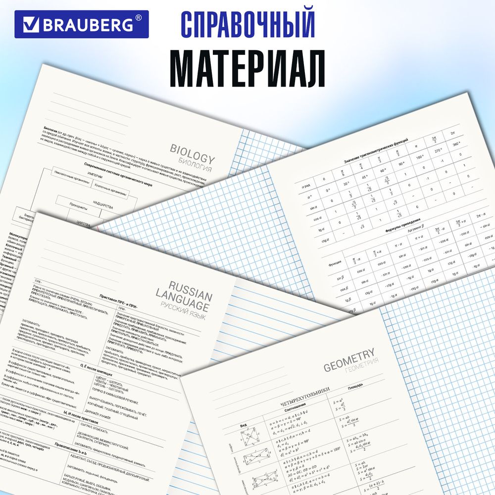 Тетради предметные со справочным материалом, КОМПЛЕКТ 12 ПРЕДМЕТОВ, 48 л., обложка картон, BRAUBERG, "VISION"