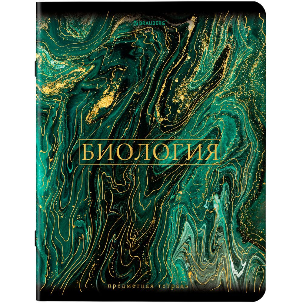Тетради предметные, КОМПЛЕКТ 12 ПРЕДМЕТОВ, 48 л., SoftTouch, фольга, BRAUBERG, "MARBLE"