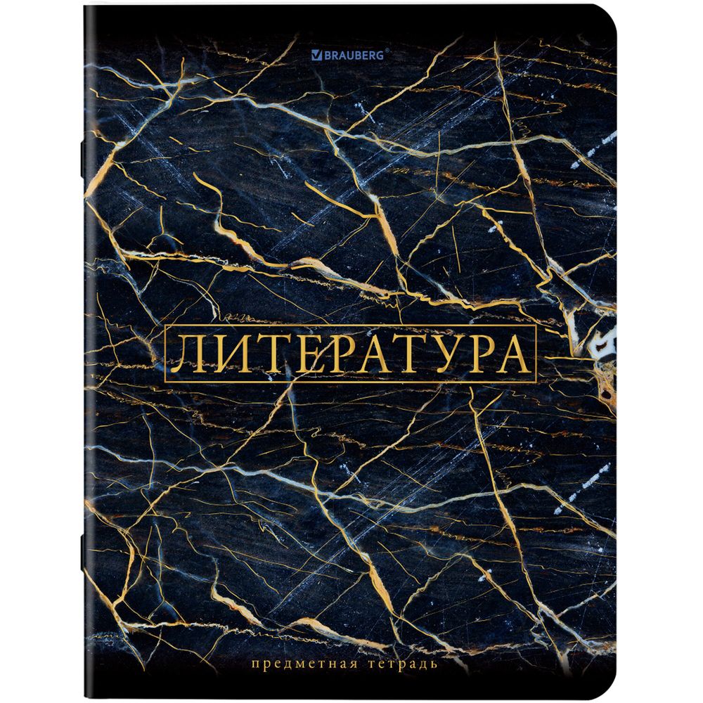 Тетради предметные, КОМПЛЕКТ 12 ПРЕДМЕТОВ, 48 л., SoftTouch, фольга, BRAUBERG, "MARBLE"