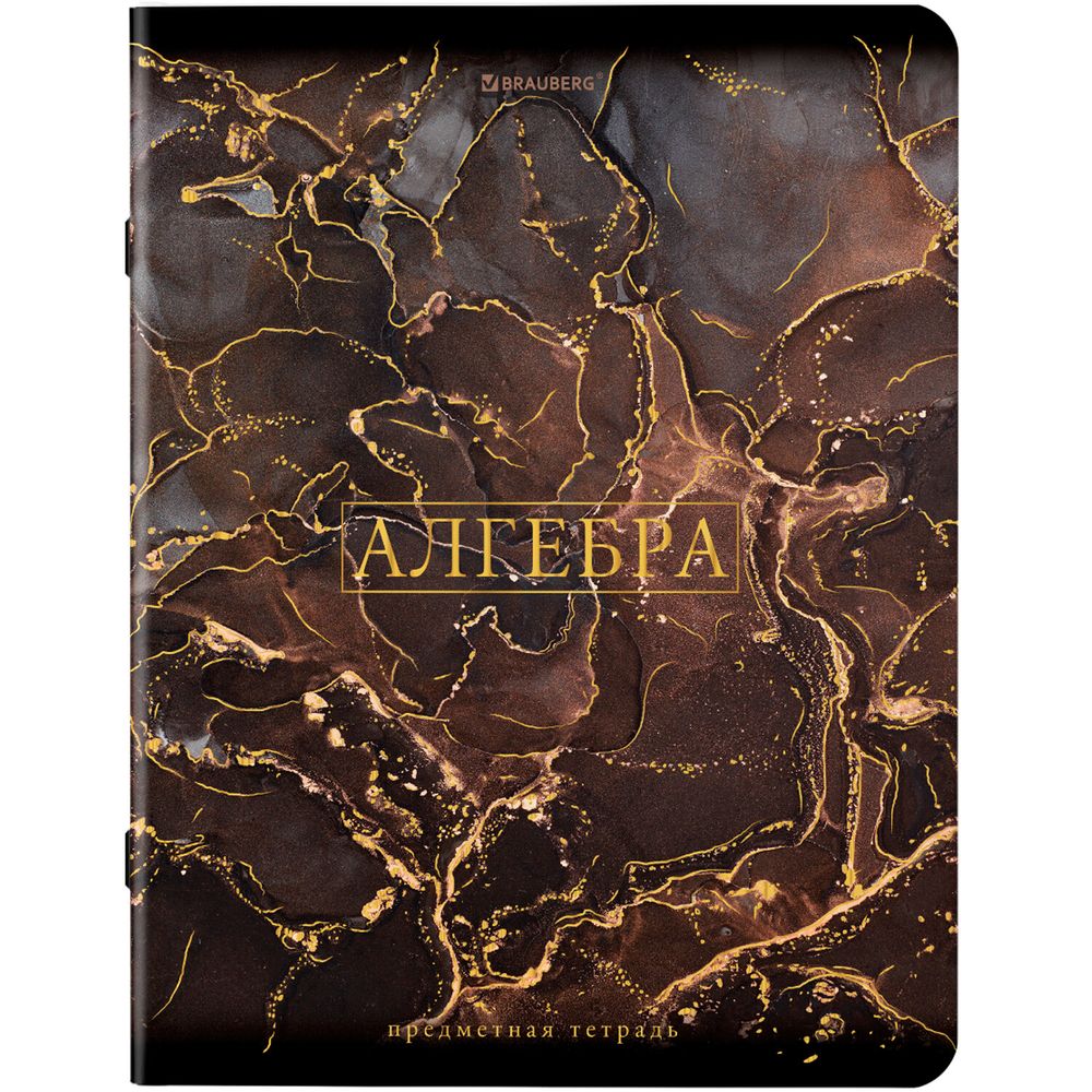 Тетради предметные, КОМПЛЕКТ 12 ПРЕДМЕТОВ, 48 л., SoftTouch, фольга, BRAUBERG, "MARBLE"
