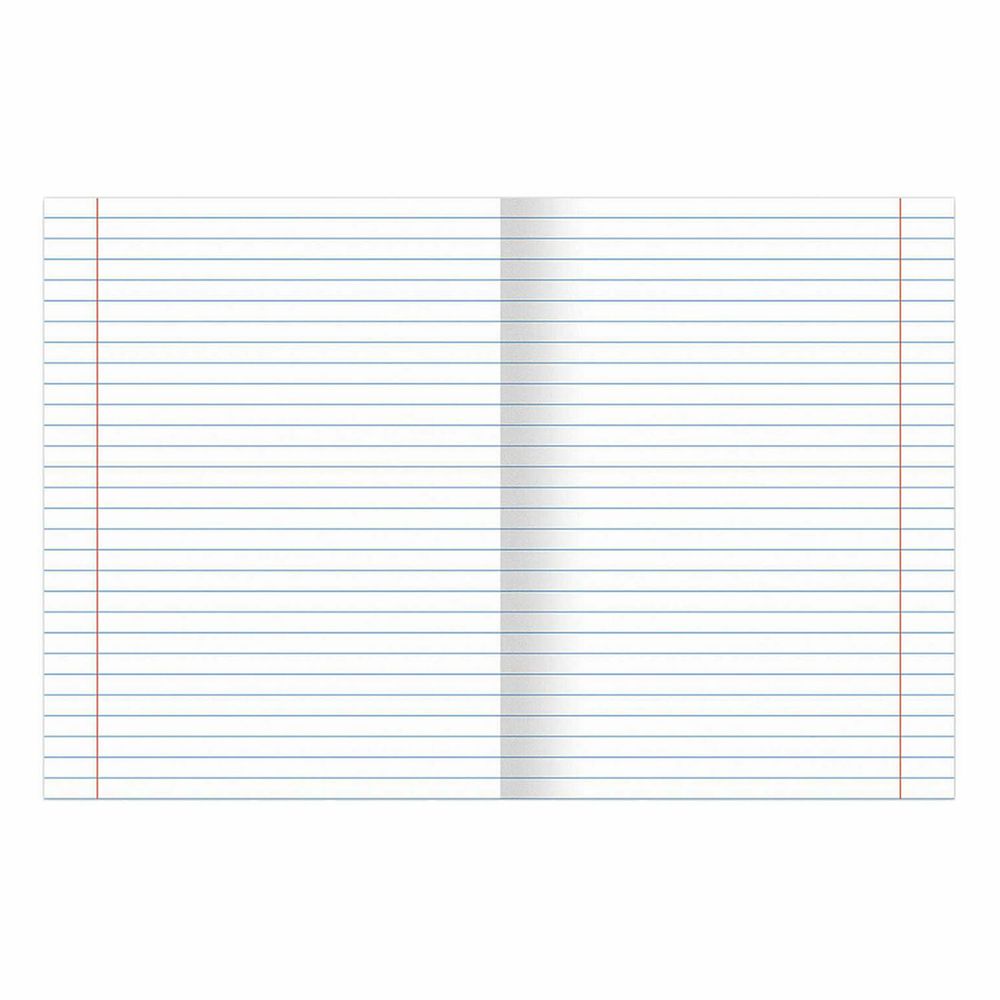 Тетради предметные, КОМПЛЕКТ 12 ПРЕДМЕТОВ, 48 л., обложка картон, BRAUBERG, "DELIGHT"